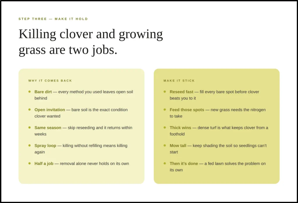 An instructional guide titled "Make the grass win before you reach for spray," comparing methods for handling large-scale clover spreads. The layout contrasts positive cultural steps (feeding nitrogen, mowing at 3 inches to create shade, hand-pulling small damp patches, and targeting the root cause) against herbicide and smothering considerations (using a selective broadleaf herbicide, spot-treating patches, matching labels to grass types to protect turf, and reserving smothering for areas slated for full reseeding).