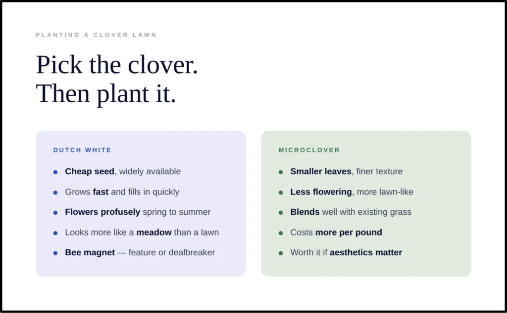 A comparison infographic titled "Pick the right clover," contrasting Dutch White Clover and Microclover for residential lawns. It details that Dutch White is cost-effective, easy to grow, and produces heavy white flowers that attract pollinators, whereas Microclover offers a finer texture, blends seamlessly with existing turfgrass, and features reduced flowering for a cleaner appearance.