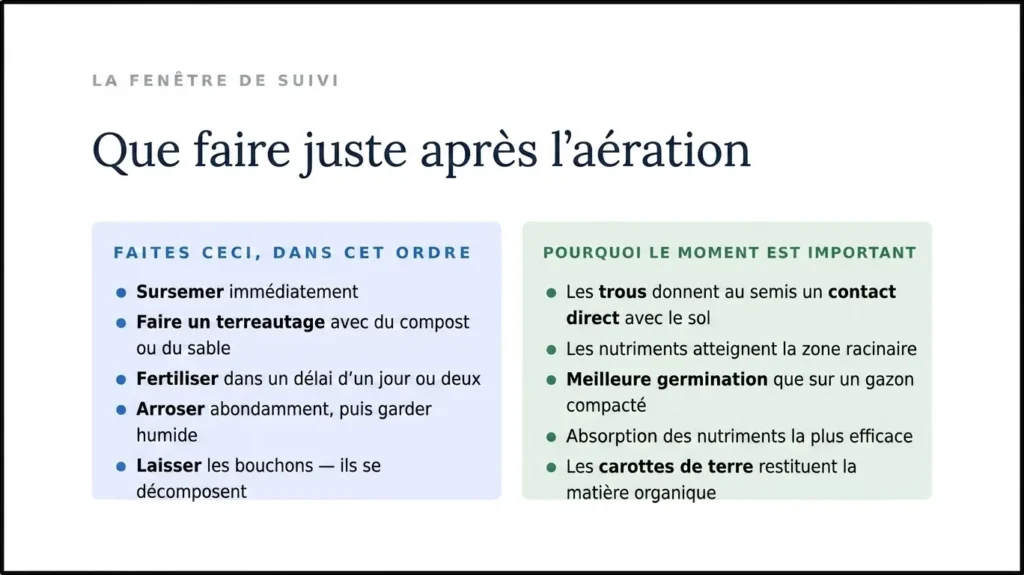 Checklist « À faire, dans cet ordre » pour l’entretien de la pelouse après aération, montrant une séquence de sursemis, apport de compost/sable et fertilisation. Il explique que le timing est important car les trous d’aération offrent un contact direct avec le sol pour les graines et un chemin direct vers la zone racinaire pour les nutriments.