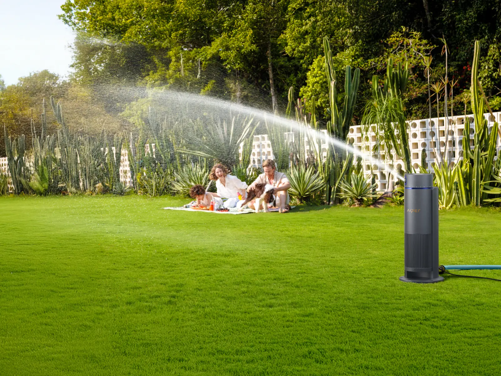Lawn aeration