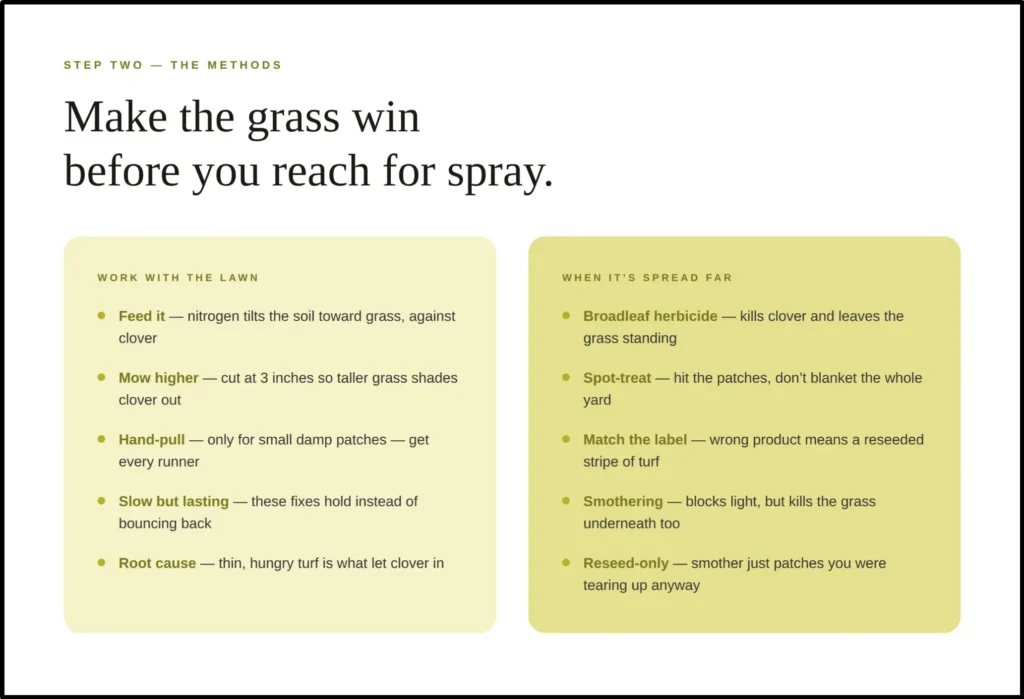 An instructional guide titled "Take care of the grass first," illustrating cultural methods to crowd out weeds. It maps out two primary strategies: feeding the lawn with regular nitrogen fertilizer to tilt the soil conditions in favor of turfgrass, and raising the mower deck to cut at 3 inches or higher so the taller grass blades shade the soil surface and starve low-growing weeds of sunlight.