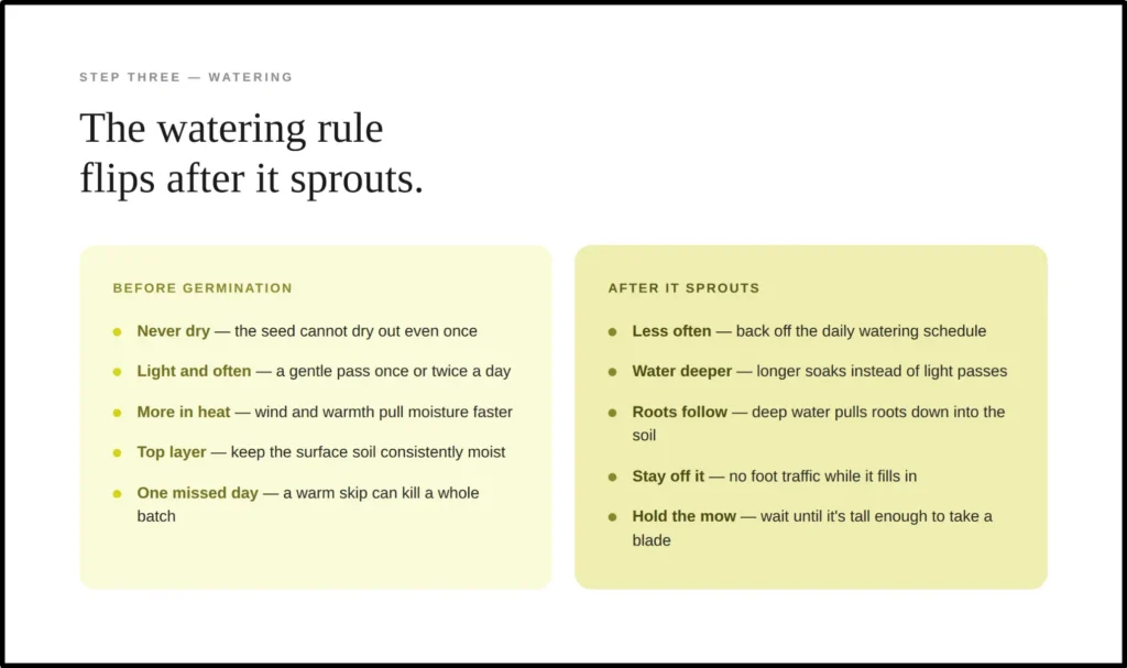 An instructional graphic titled "The watering rule flips after it sprouts," contrasting irrigation phases for new grass seed. The "Before Germination" layout highlights rules to keep the seed constantly moist with light passes once or twice a day, accounting for heat or wind, and notes that a single missed day can kill a batch. The "After It Sprouts" layout directs users to water less often but deeper to encourage root growth, keep foot traffic off the area, and hold off on mowing until the grass is tall enough to handle a blade.