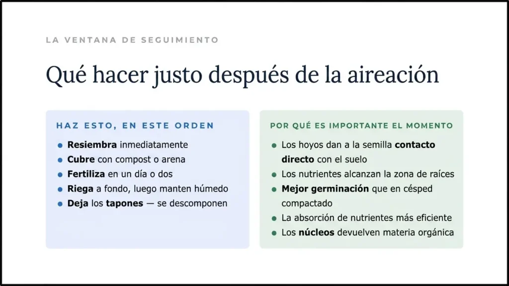 Lista de verificación "Haga esto, en este orden" para el cuidado del césped después de la aireación, mostrando una secuencia de sobresembrado, aplicación de compost/arena y fertilización. Explica que el momento es importante porque los agujeros de aireación proporcionan contacto directo con el suelo para las semillas y un camino directo a la zona de raíces para los nutrientes.