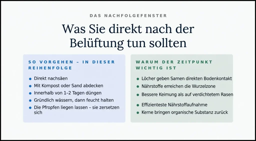 Checkliste „So gehen Sie direkt nach der Belüftung vor“ für die Rasenpflege, mit einer Reihenfolge aus Nachsaat, Aufbringen von Kompost/Sand und Düngung. Es wird erklärt, warum der Zeitpunkt entscheidend ist, da die Belüftungslöcher direkten Bodenkontakt für Samen und einen direkten Weg zur Wurzelzone für Nährstoffe schaffen.