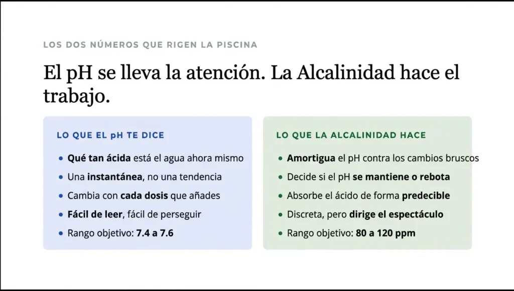 Un gráfico comparativo titulado «El pH recibe la atención. La alcalinidad hace el trabajo», que contrasta lo que el pH te indica versus lo que realmente hace la alcalinidad. Destaca el rol de la alcalinidad como amortiguador que previene oscilaciones de pH y estabiliza la química del agua dentro del rango objetivo de 80 a 120 ppm.