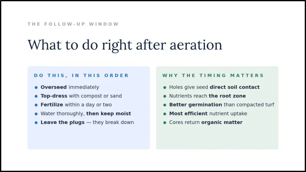 A "Do this, in this order" checklist for post-aeration lawn care, showing a sequence of overseeding, top-dressing, and fertilizing. It explains that the timing matters because aeration holes provide direct soil contact for seeds and a direct path to the root zone for nutrients.