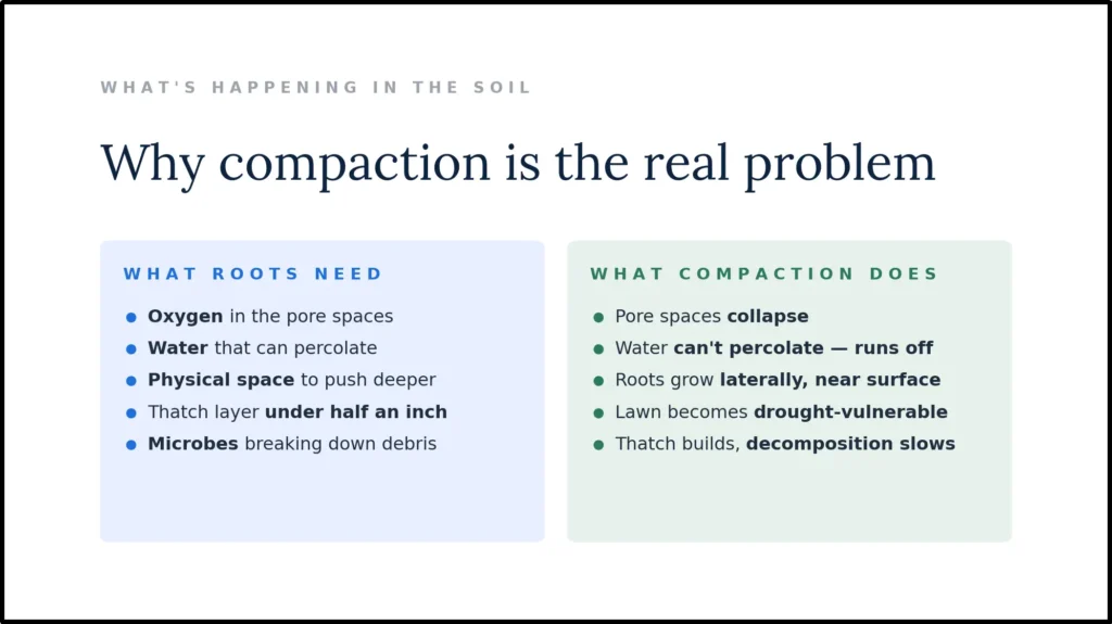 A comparison chart titled "Why compaction is the real problem," contrastive the requirements for healthy roots—oxygen, water percolation, and physical space—against the effects of soil compaction, such as collapsed pore spaces and lateral root growth.