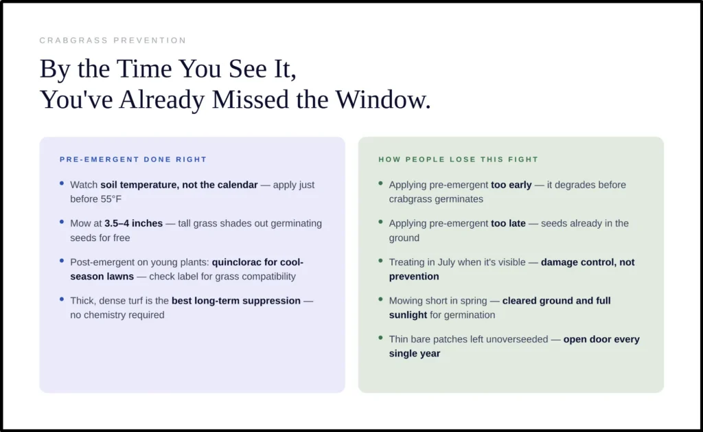 Infographic explaining effective timing for proper crabgrass prevention