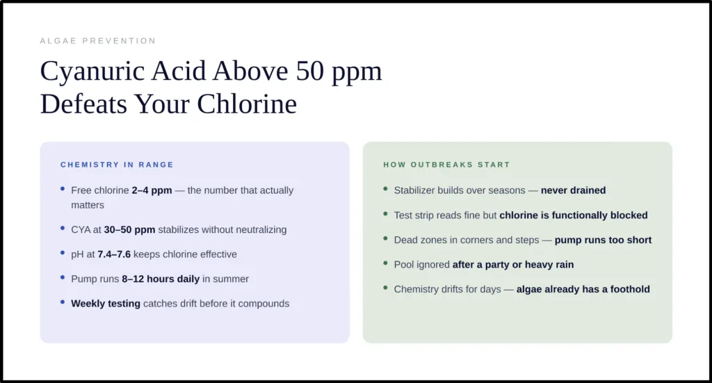 uric acid above 50 ppm defeats your chlorine