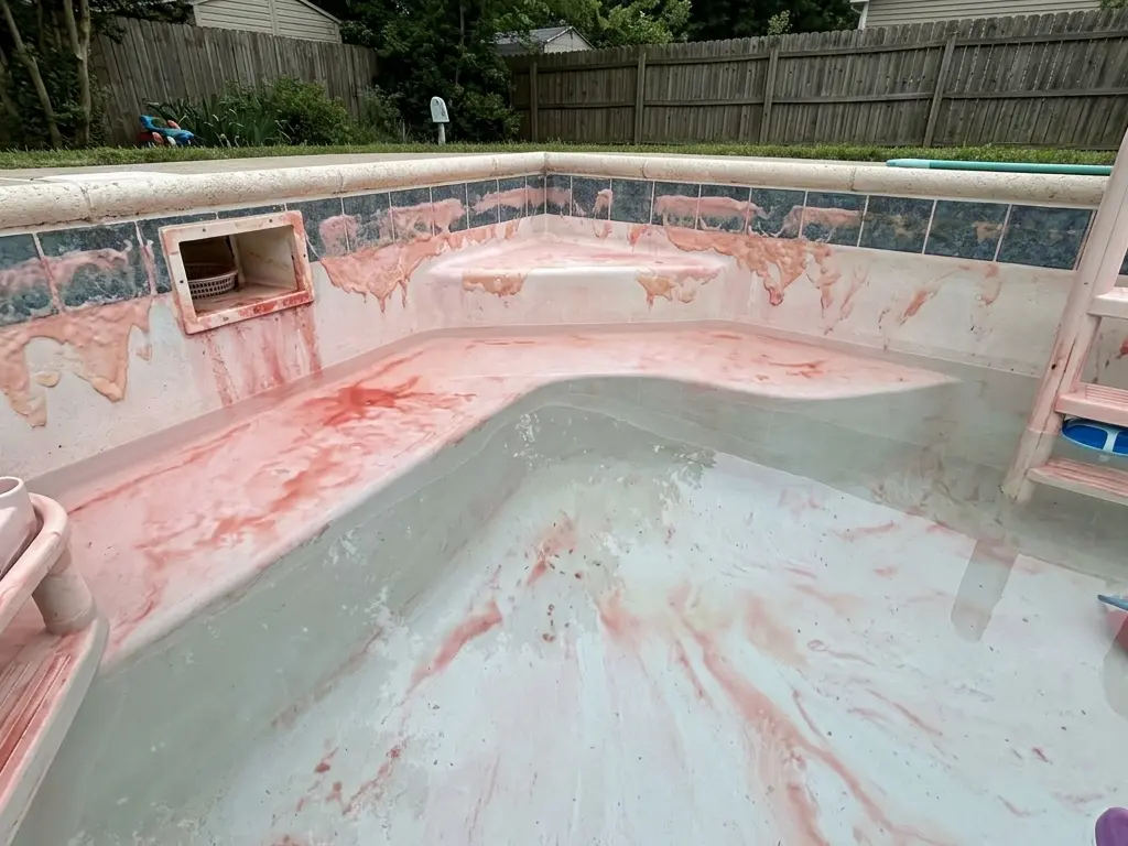 Pink algae in pool