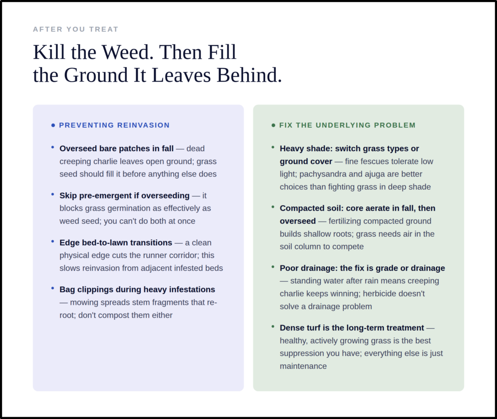 Prevent reinvasion and fix underlying problem