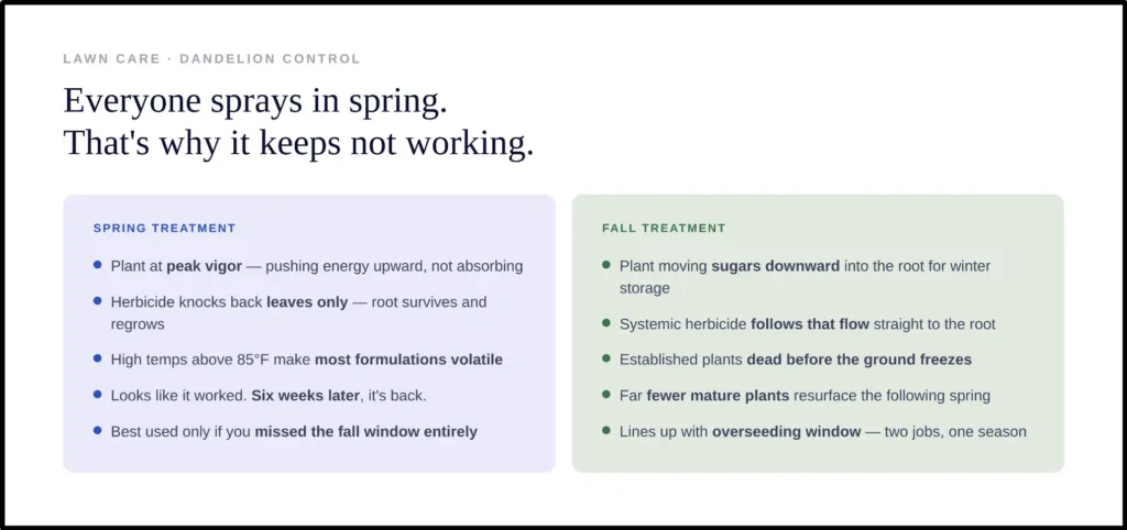 Spring vs fall treatment