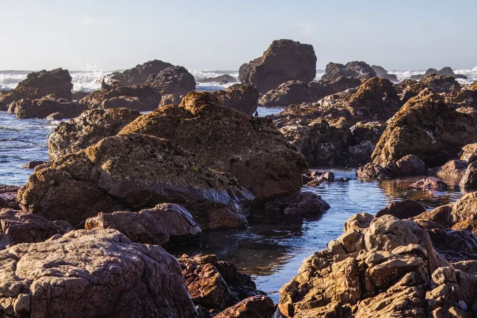 Piscine rocheuse avec rochers intégrés