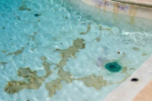 Brown organic stains spreading across a swimming pool floor