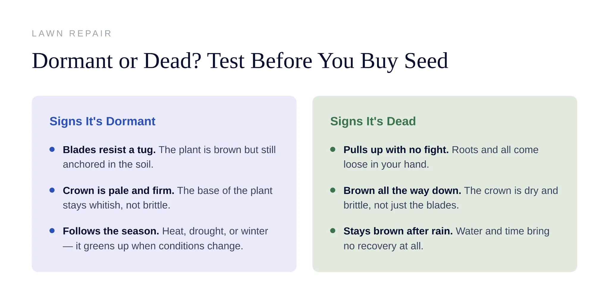 Five common reasons grass develops dead patches in home lawns