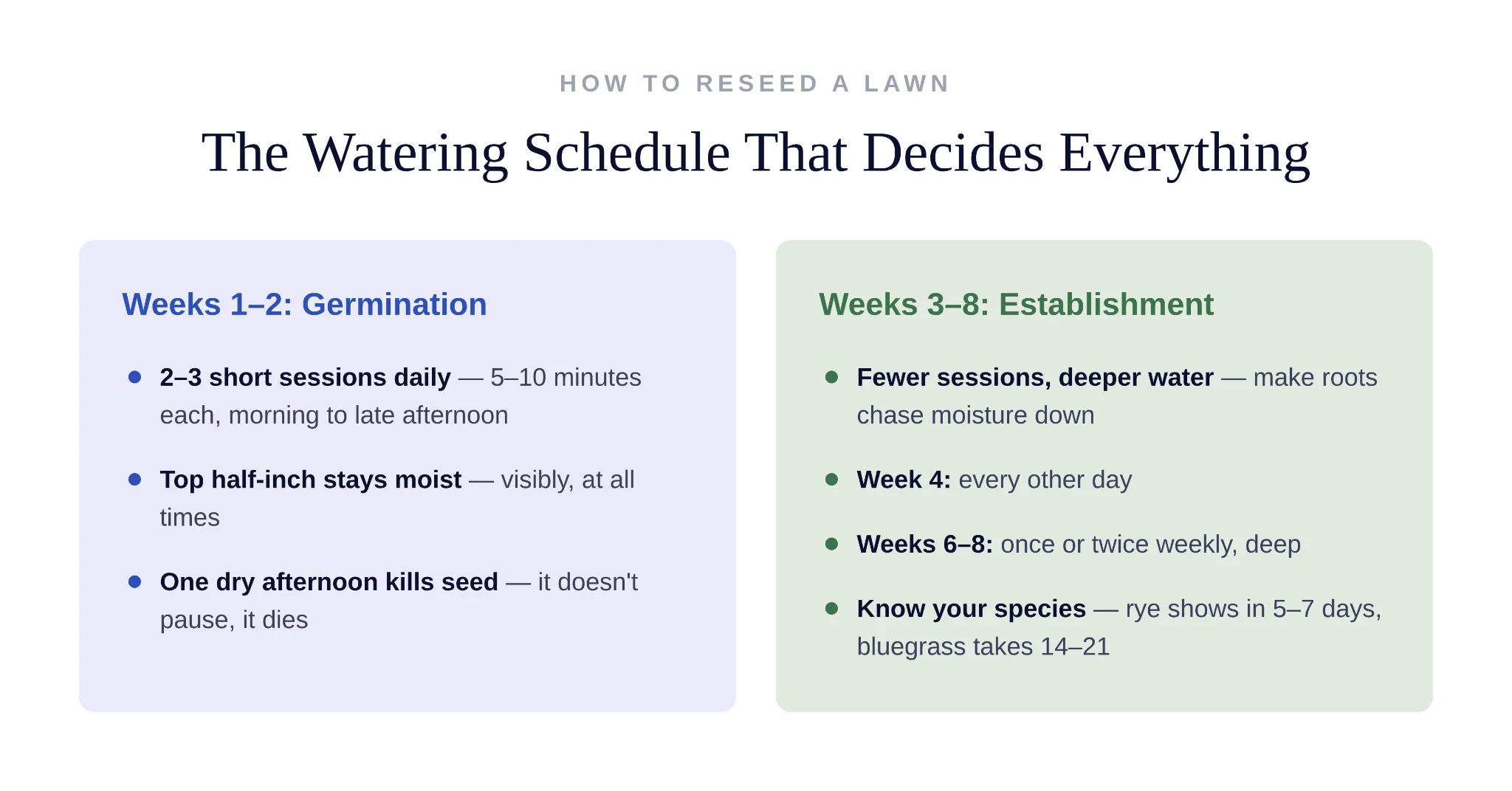Five most common reasons lawn reseeding projects fail and prevention tips