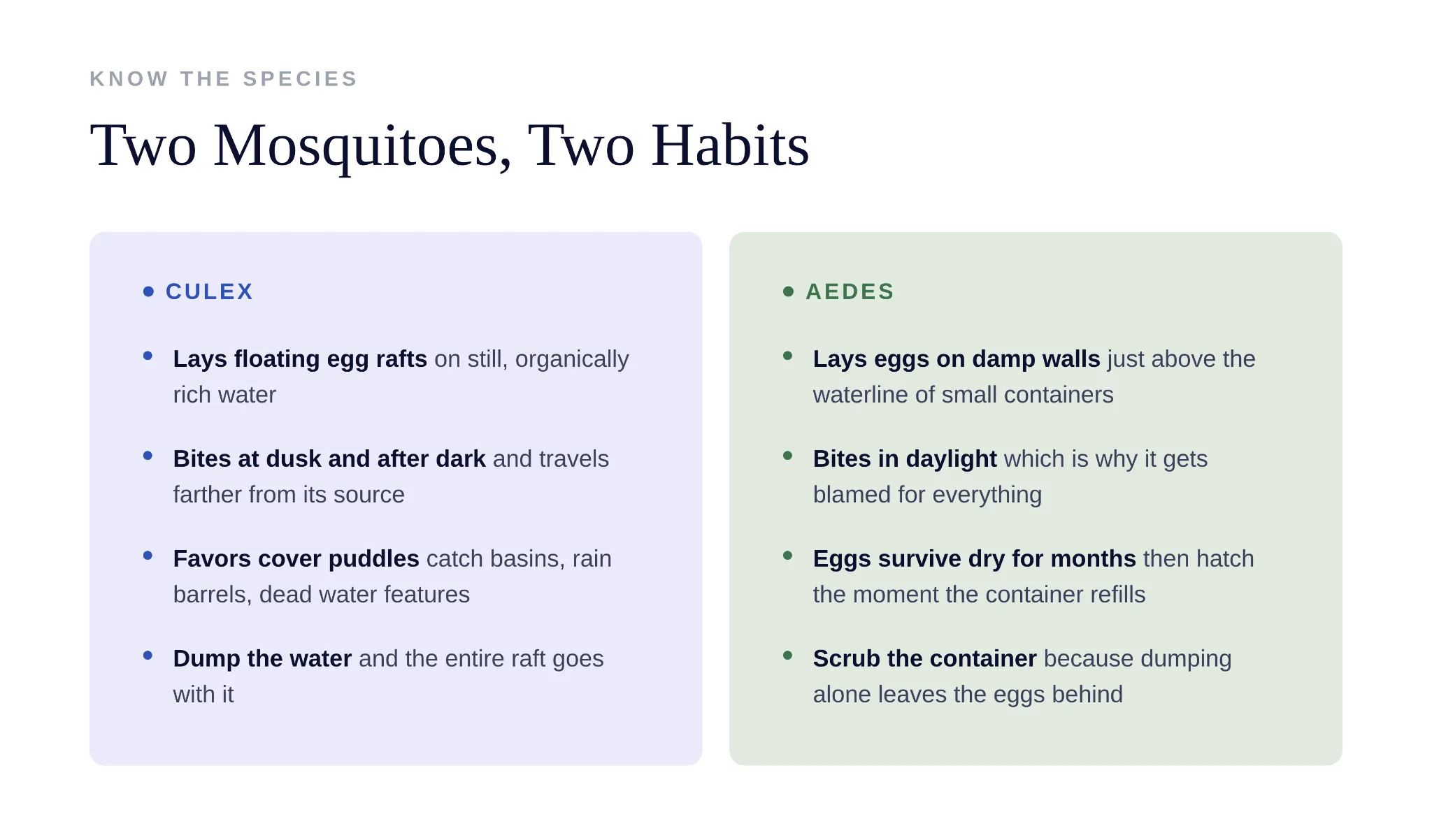 Side-by-side comparison of Culex and Aedes mosquito species and breeding habits
