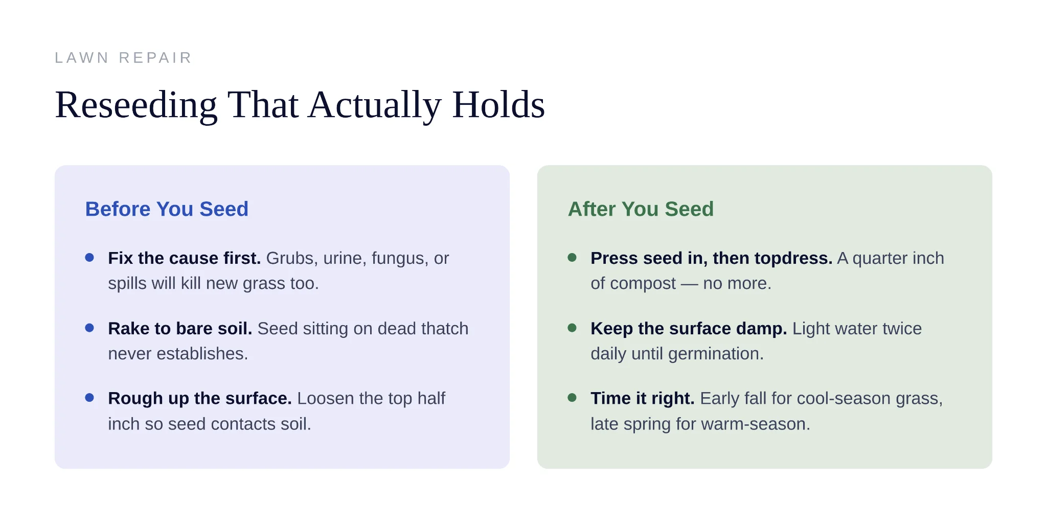 Visual comparison showing dead grass versus dormant lawn grass