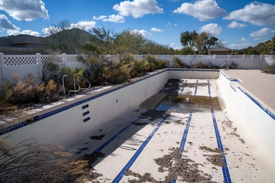 Jardin de Piscine Désertique/Xeriscape