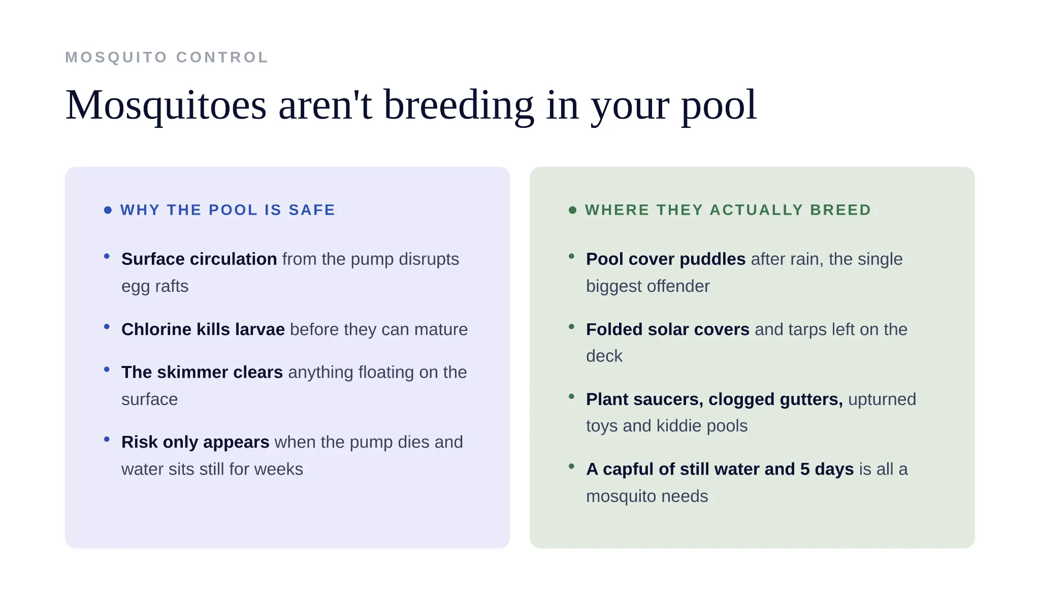 Ducks swimming in a residential backyard pool causing contamination risks