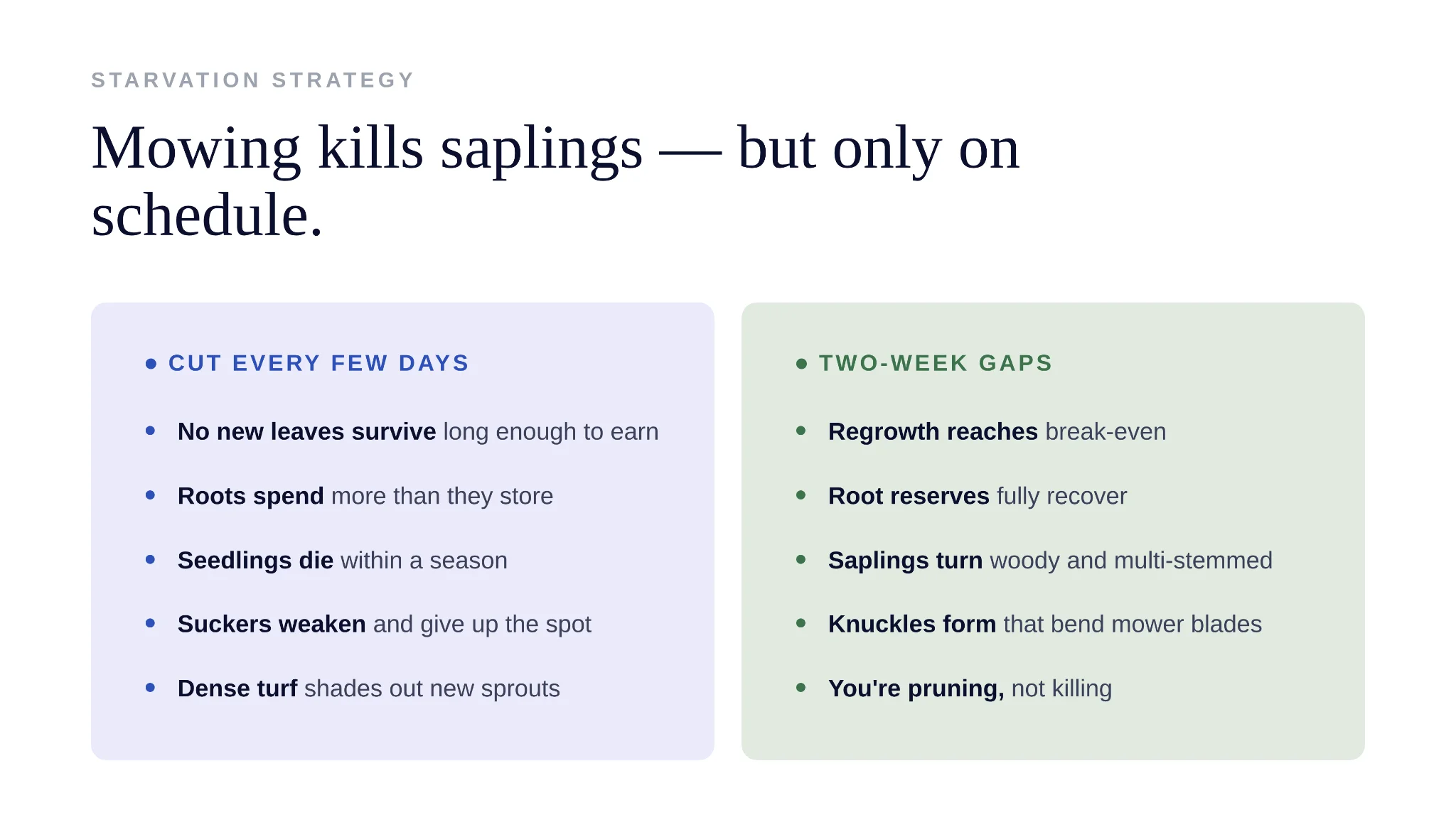 Comparison of frequent mowing schedules that starve saplings effectively