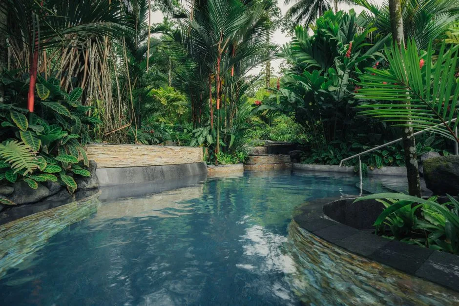 Piscine libre oasis de jardin