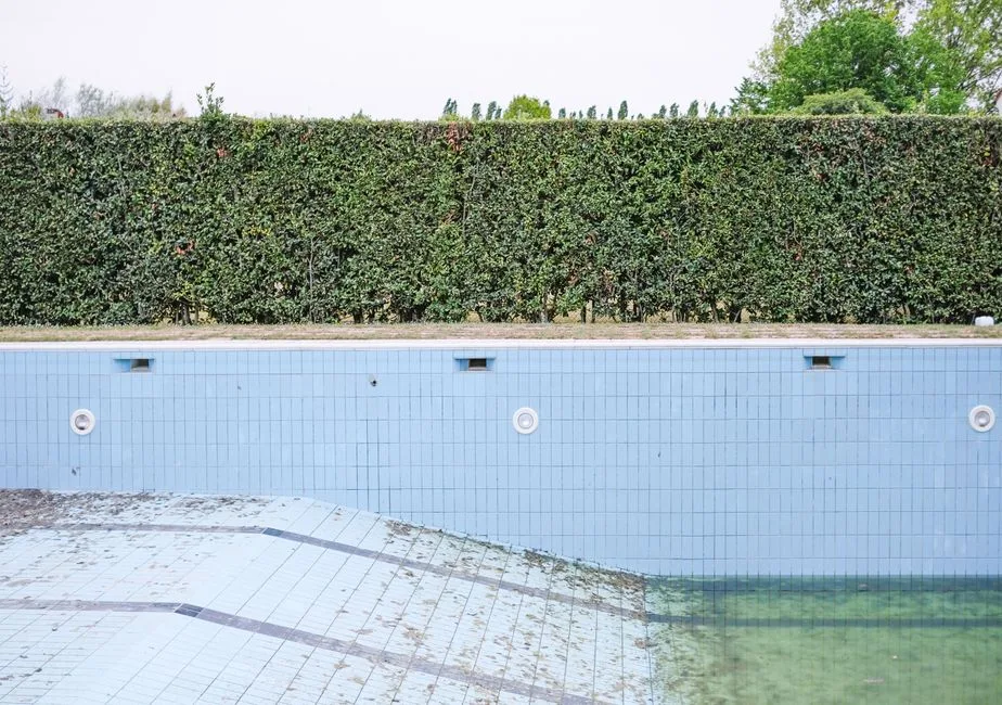Mur de Haie d'Intimité