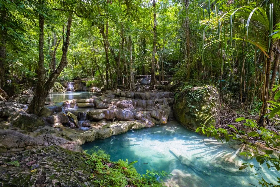 Piscine libre de style lagon