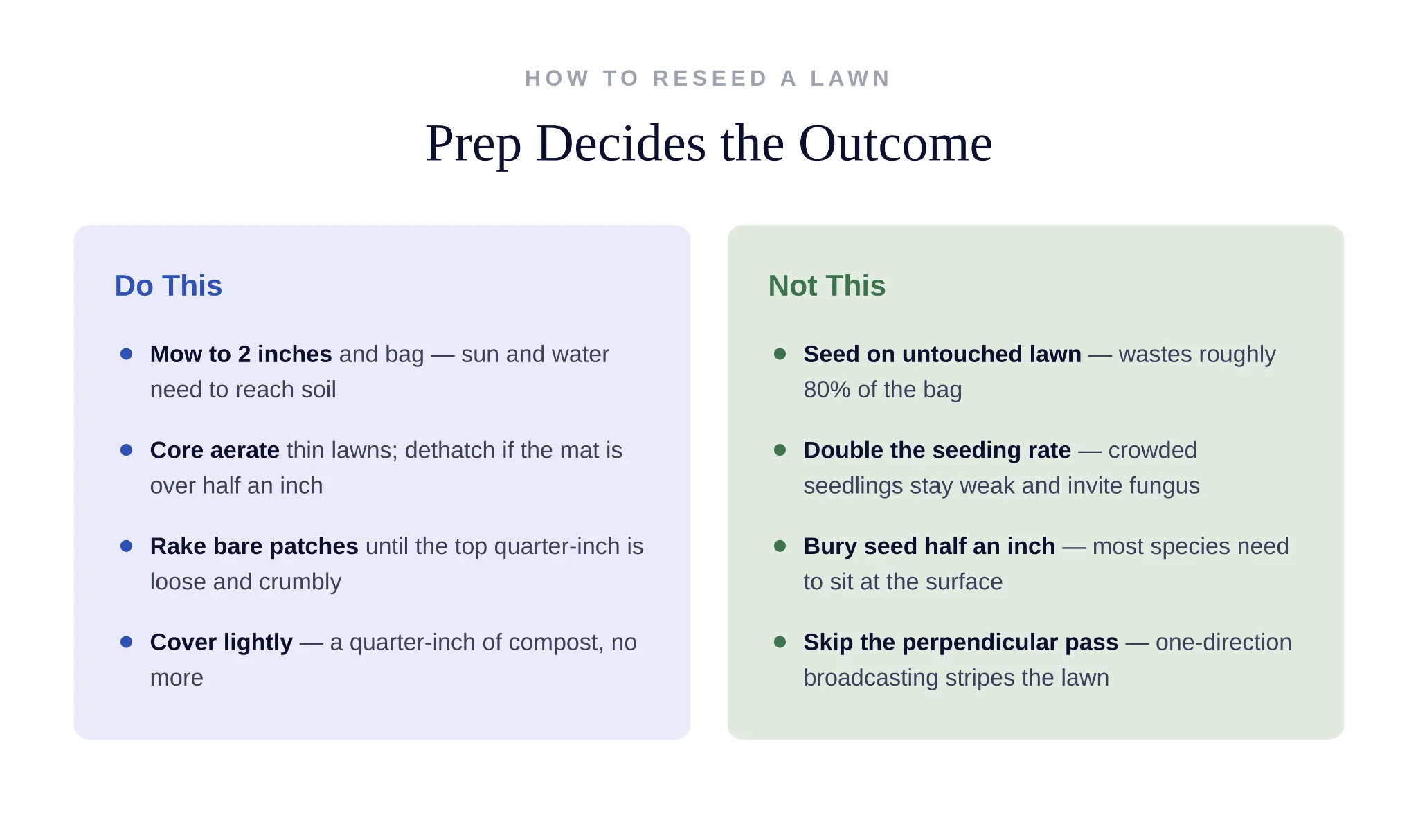 Core aeration and dethatching preparation steps before spreading grass seed