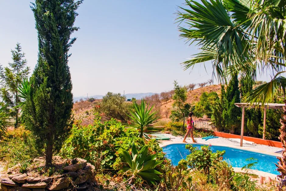 Jardin de Piscine Méditerranéen