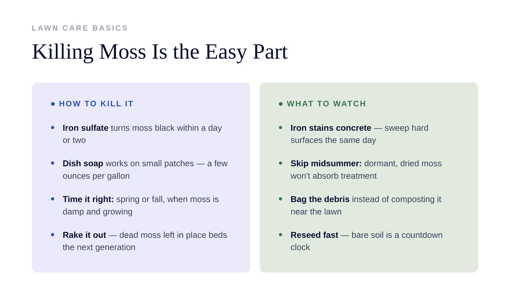 Comparison between temporary moss removal and full lawn rehabilitation