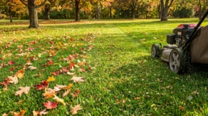 Lawn mower mulching fallen autumn leaves into healthy green grass lawn