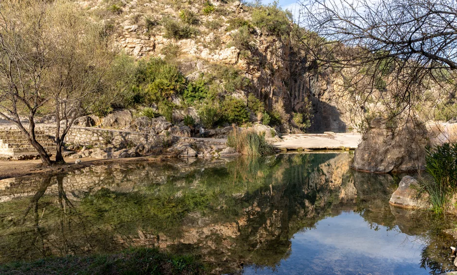Piscine naturelle de type étang