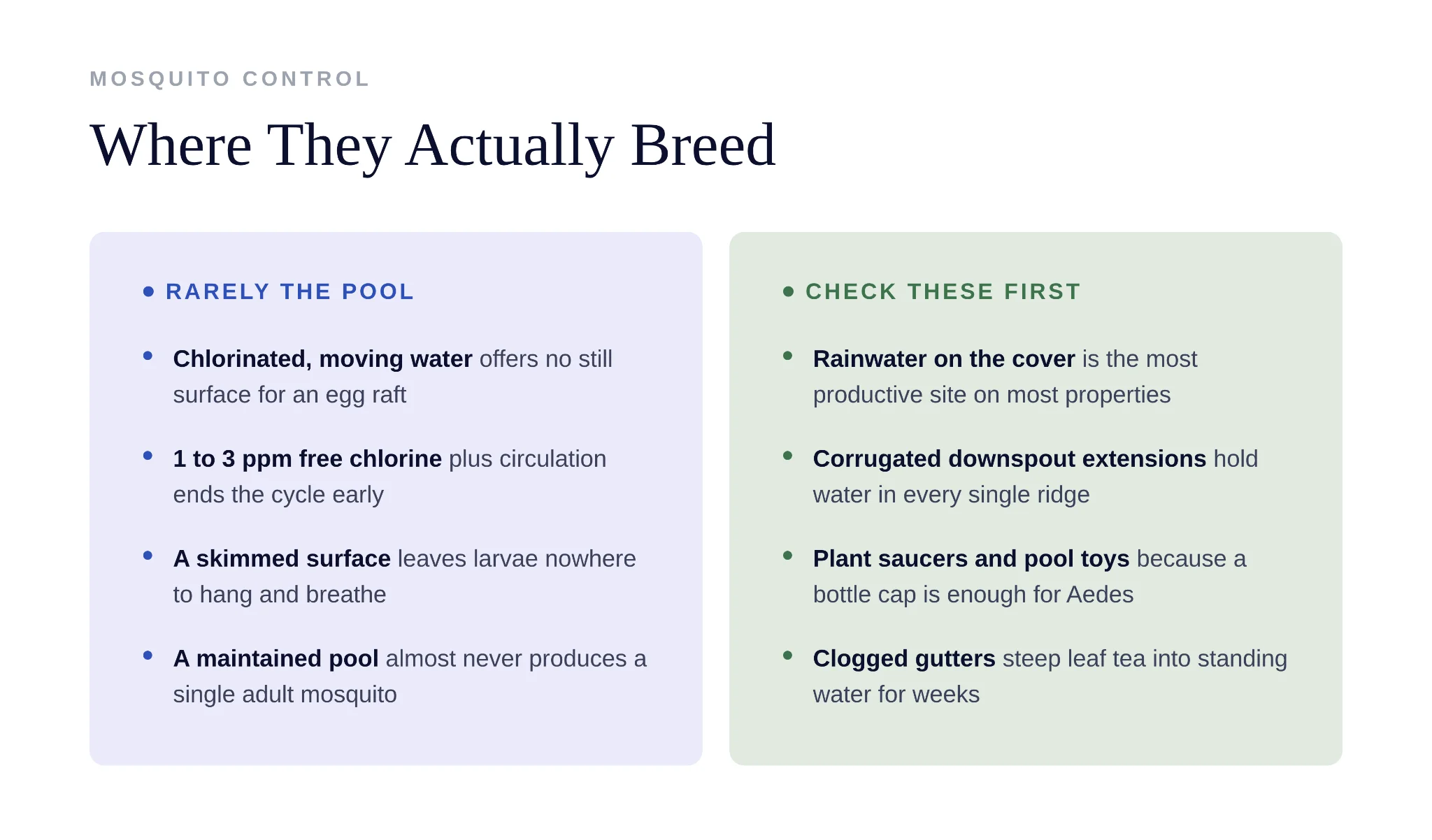 Properly maintained swimming pool with circulating water prevents mosquito breeding