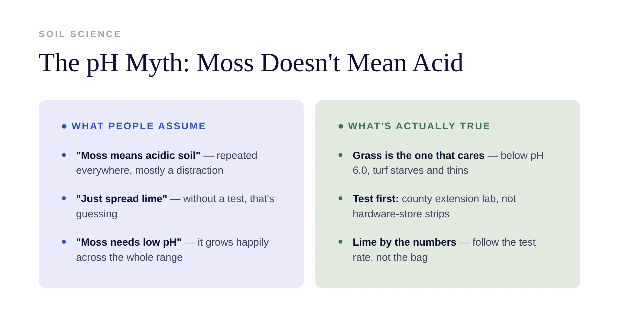 Common reasons moss grows instead of healthy grass in home lawns