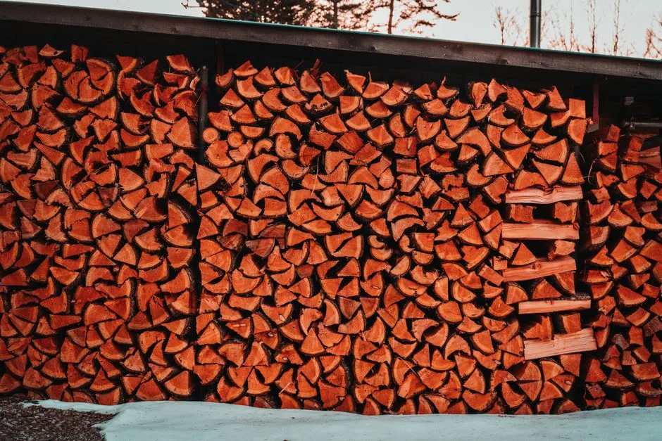 Écran + Rangement à Bois de Chauffage