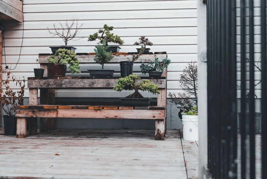 Écran + Établi de Rempotage / Poste de Jardinage