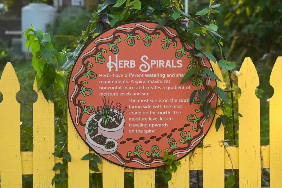 Écran + Jardin d’Herbes Aromatiques Vertical