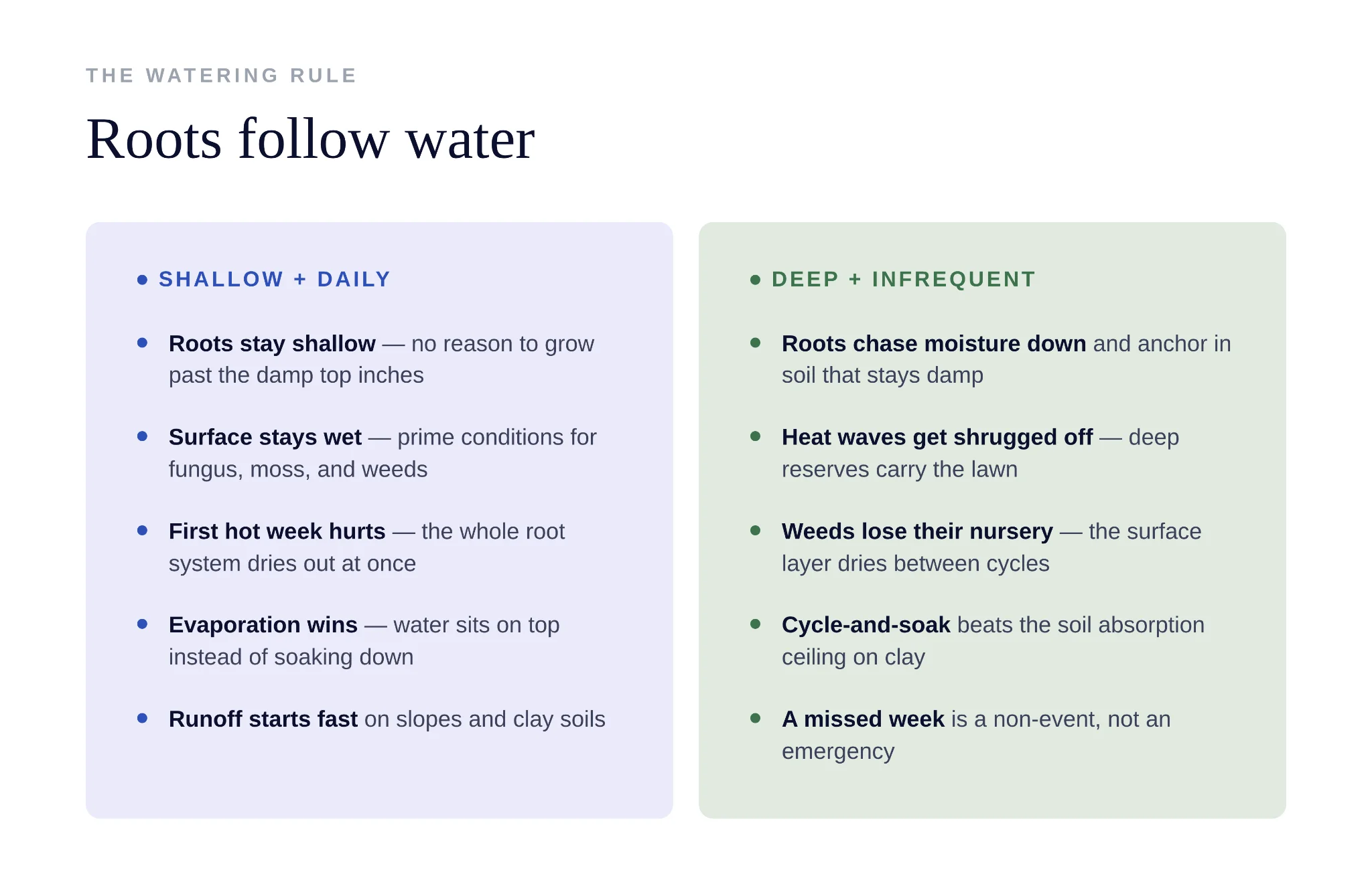 Comparison of shallow daily watering versus deep infrequent watering