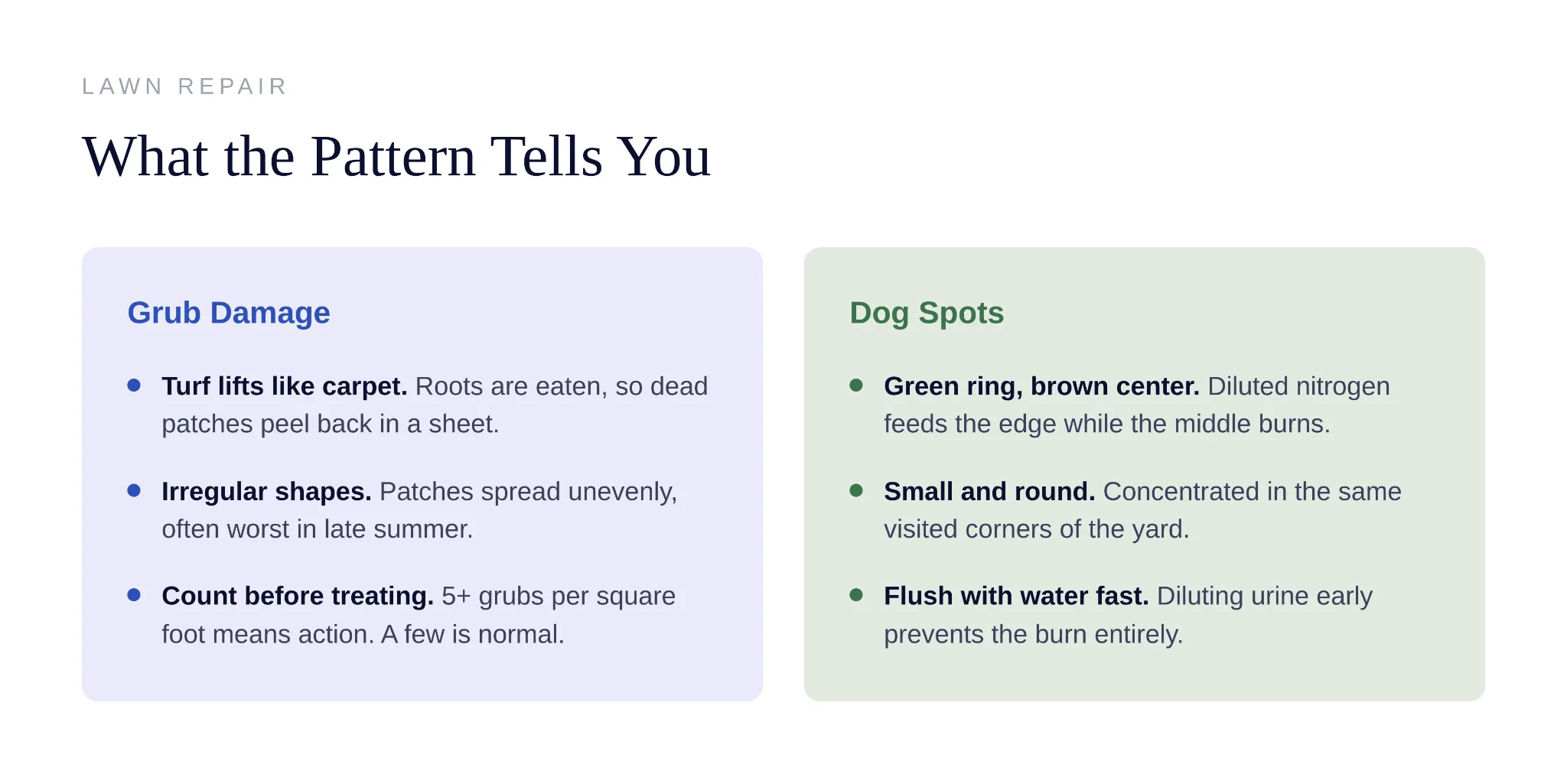 Step by step guide for repairing dead grass lawn patches