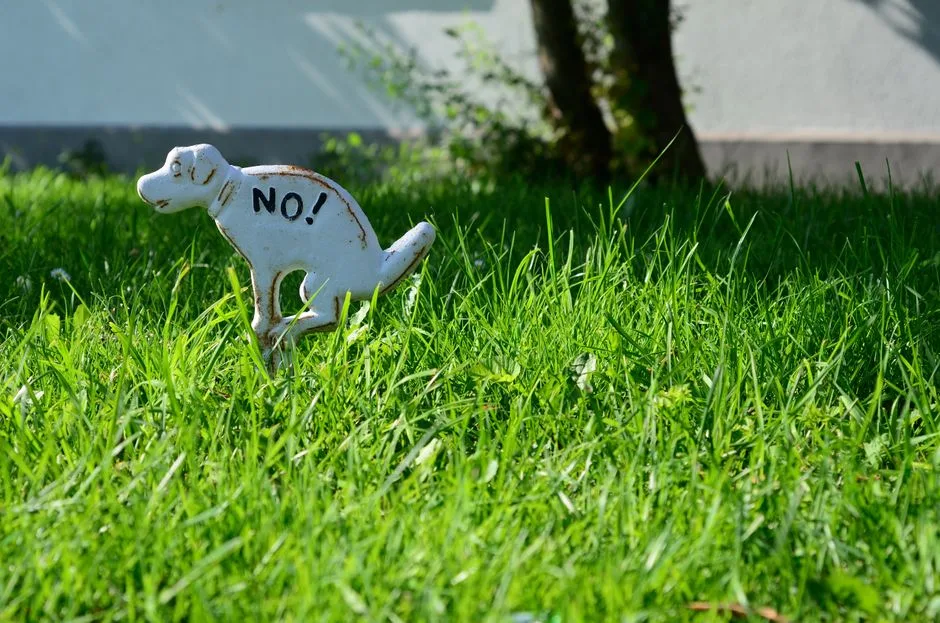 Metal dog sign with 'NO!' message on green grass, emphasizing pet rules.