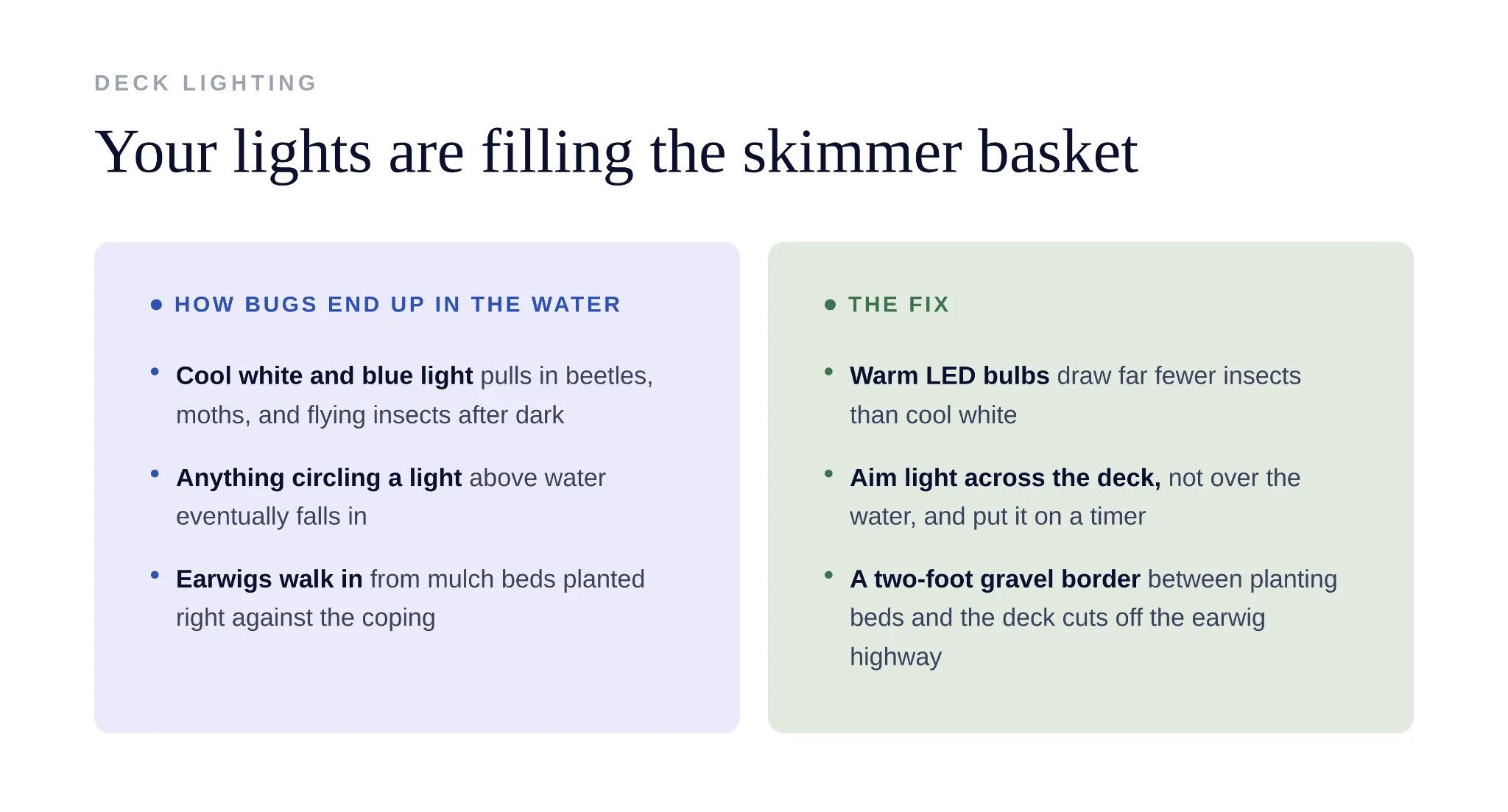 Water boatmen and backswimmers are common pool pests attracted to algae