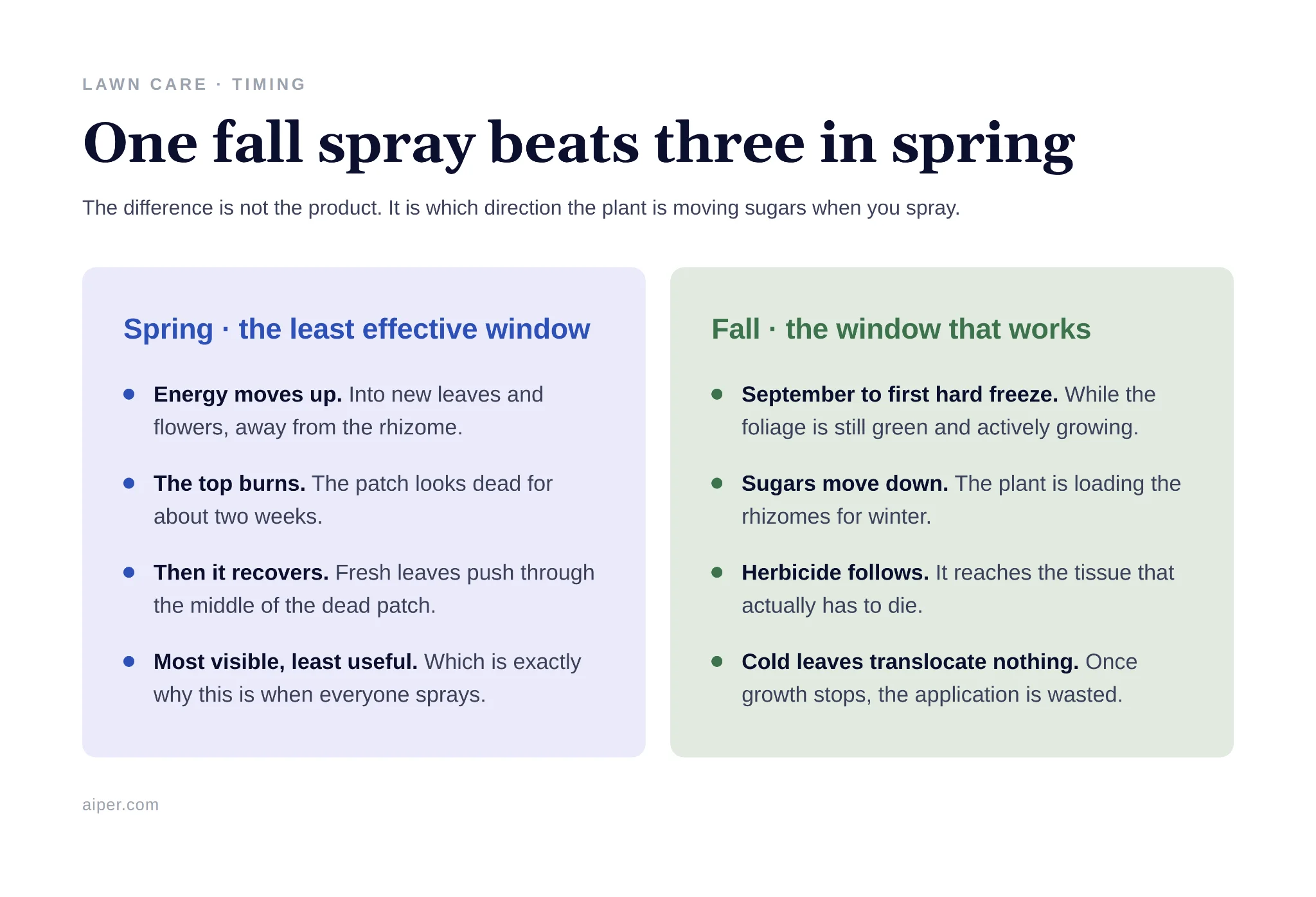 Herbicide sprayer treating lawn violets in fall