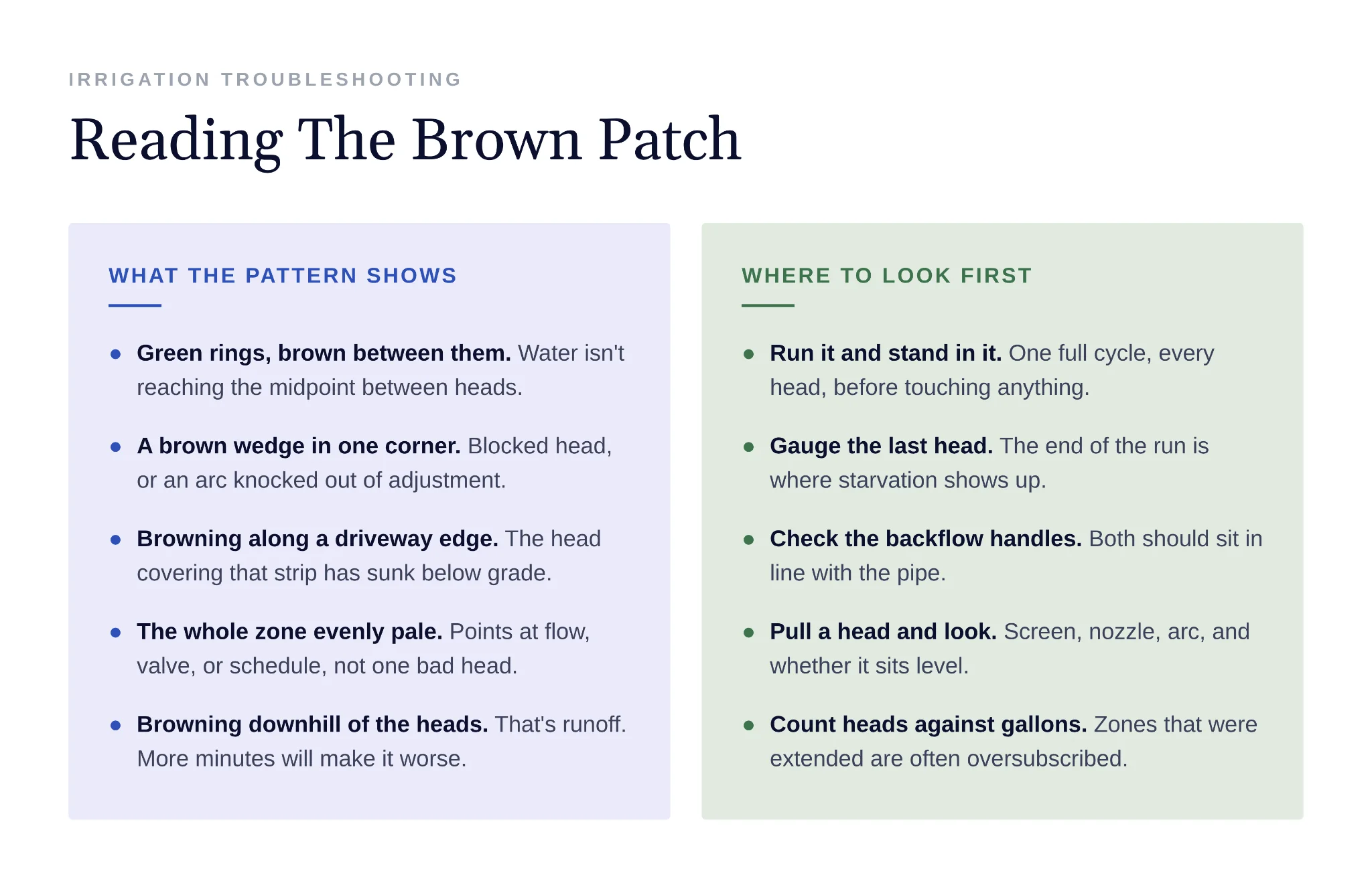 Diagnostic patterns showing what brown patch shapes indicate