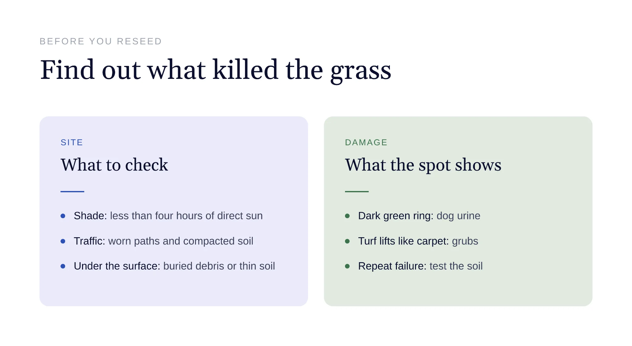 Checklist for diagnosing what caused bare spots in a lawn