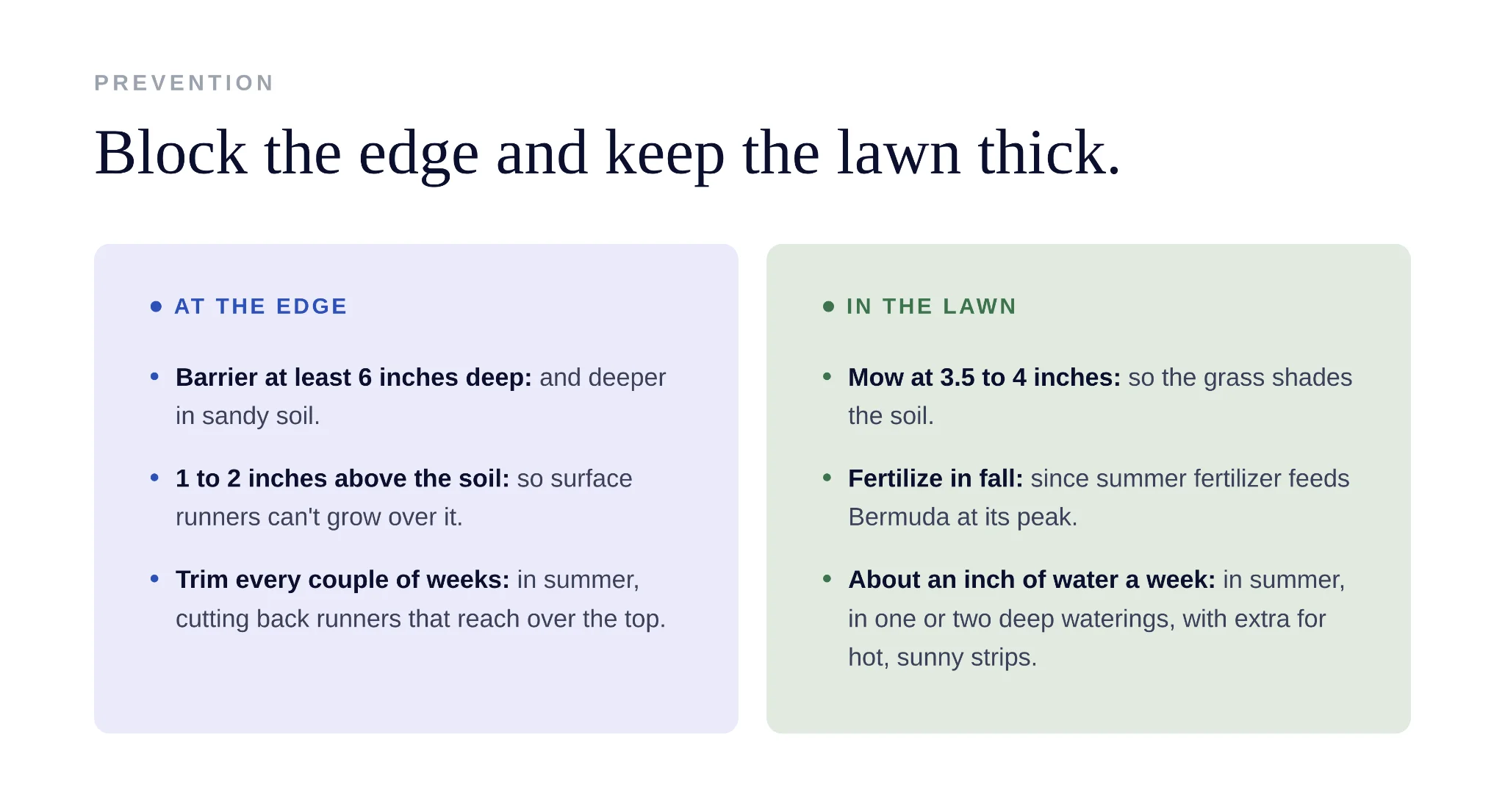 Comparison showing edge barrier installation versus lawn thickness for bermuda prevention