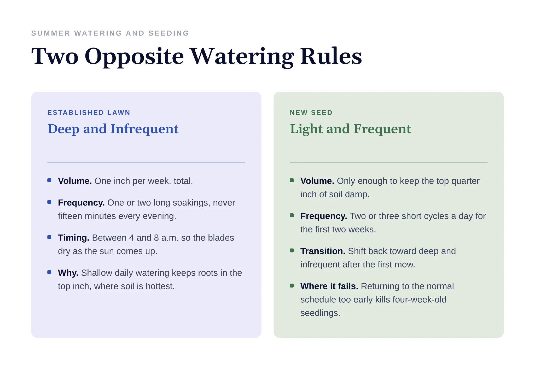 Deep infrequent watering for established lawn versus new seed