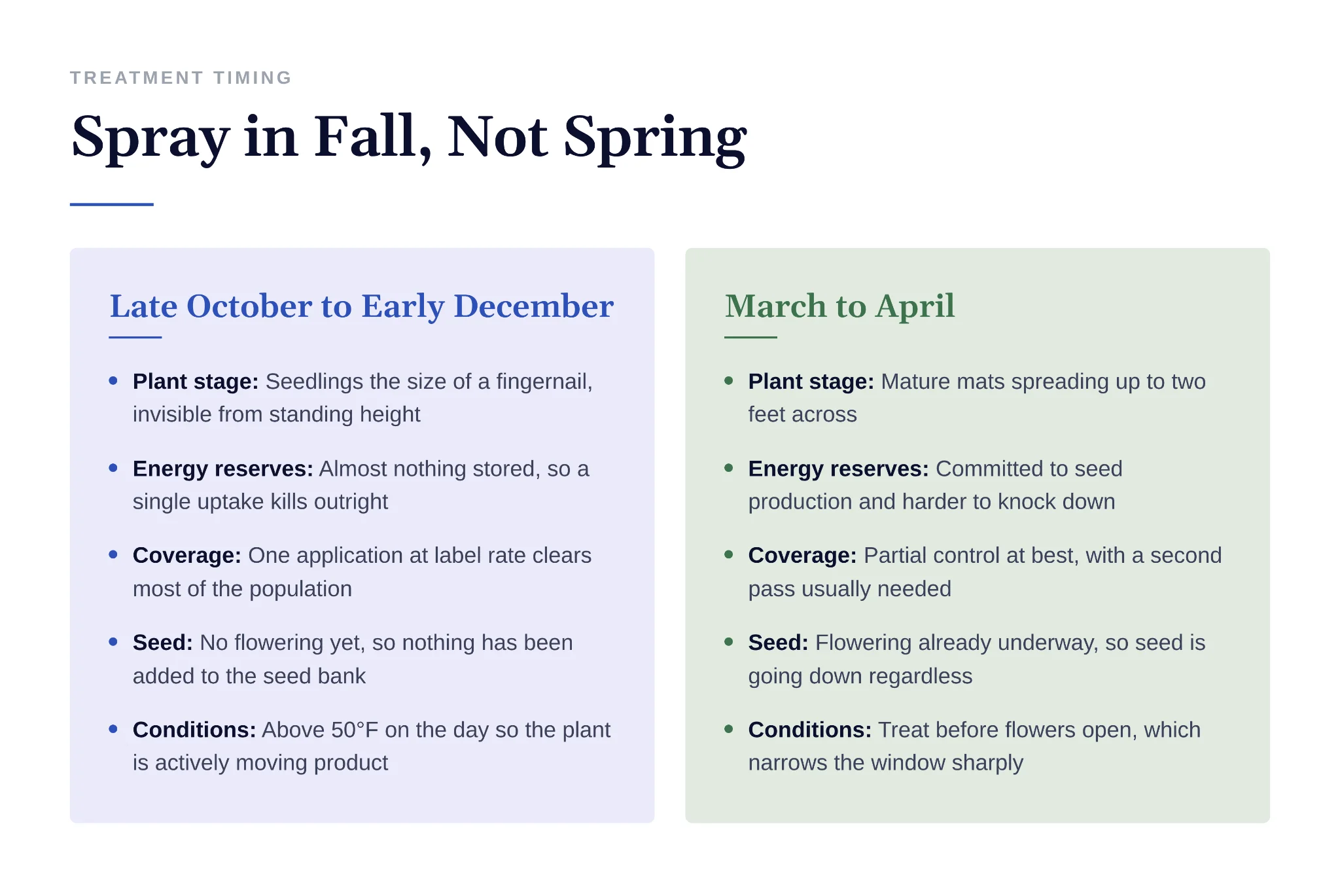 Comparison of fall versus spring timing for chickweed herbicide treatment effectiveness