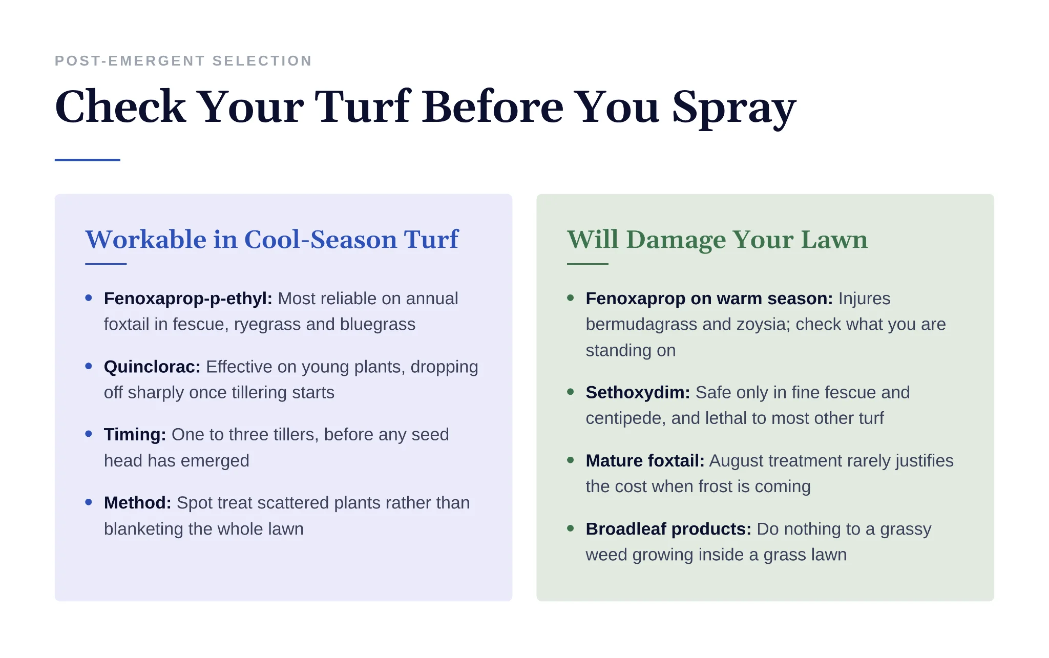 Chart showing which foxtail herbicides are safe versus damaging for different lawns