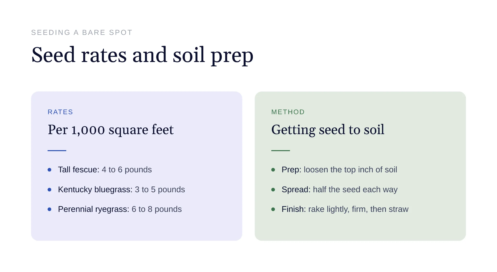 Seeding rates and soil preparation steps for bare lawn spots